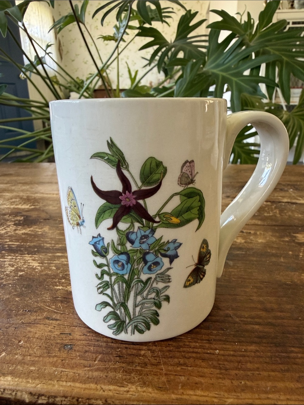 Portmeirion Botanic Garden Ceramic Mug - Canterbury Bells England